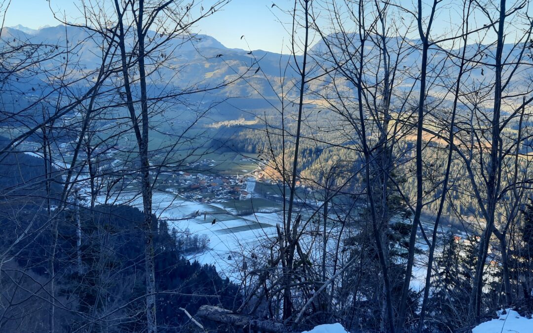 MISEL OB SKLEPU LETA IN VSTOPU V 2025