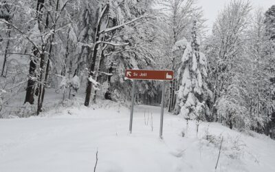 SPOKORNA BOGOSLUŽJA V NAŠI ŽUPNIJI – POST 2026